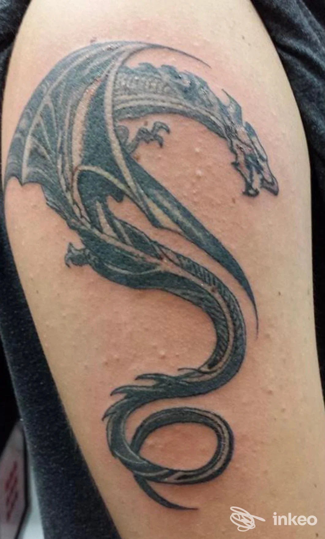 Tattoo reale su braccio raffigurante un drago stilizzato, in tonalità scure, visibile senza volto umano.