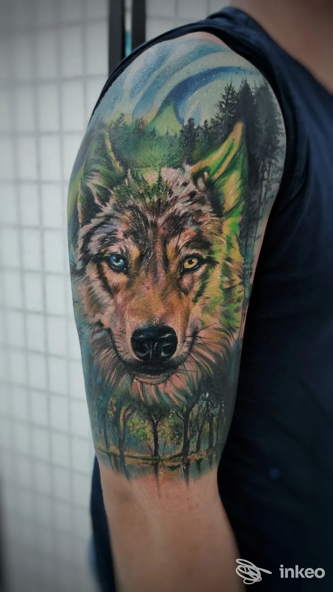 Tattoo realistico di una testa di lupo con paesaggio verde, situato sull'avambraccio di una persona, colori saturi e dettagli definiti, studio Sweet Dama Tattoo, Battipaglia.