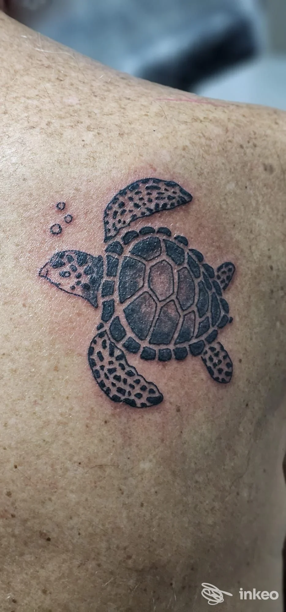 Tattoo reale di una tartaruga su pelle chiara, con dettagli neri in stile outline, visibile su spalla/petto.