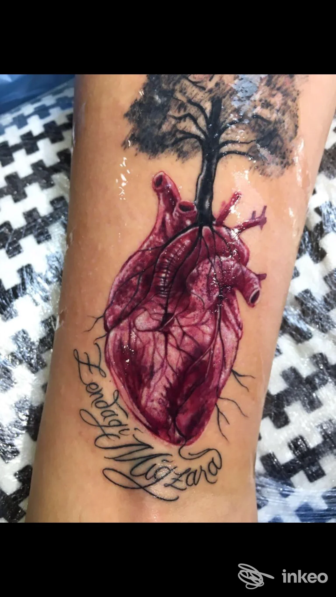 Tatuaggio realistico di un cuore rosso con vene nere sulla pelle del braccio, con un albero stilizzato in alto e scritte scrolling a mo' di firma.