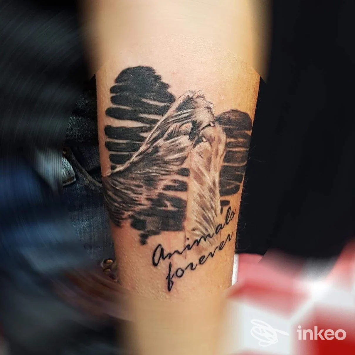 Tattoo visibile sulla gamba raffigurante una piuma con scritta Animal forever, realizzato sulla pelle, con sfondo scuro e contorni ben definiti.