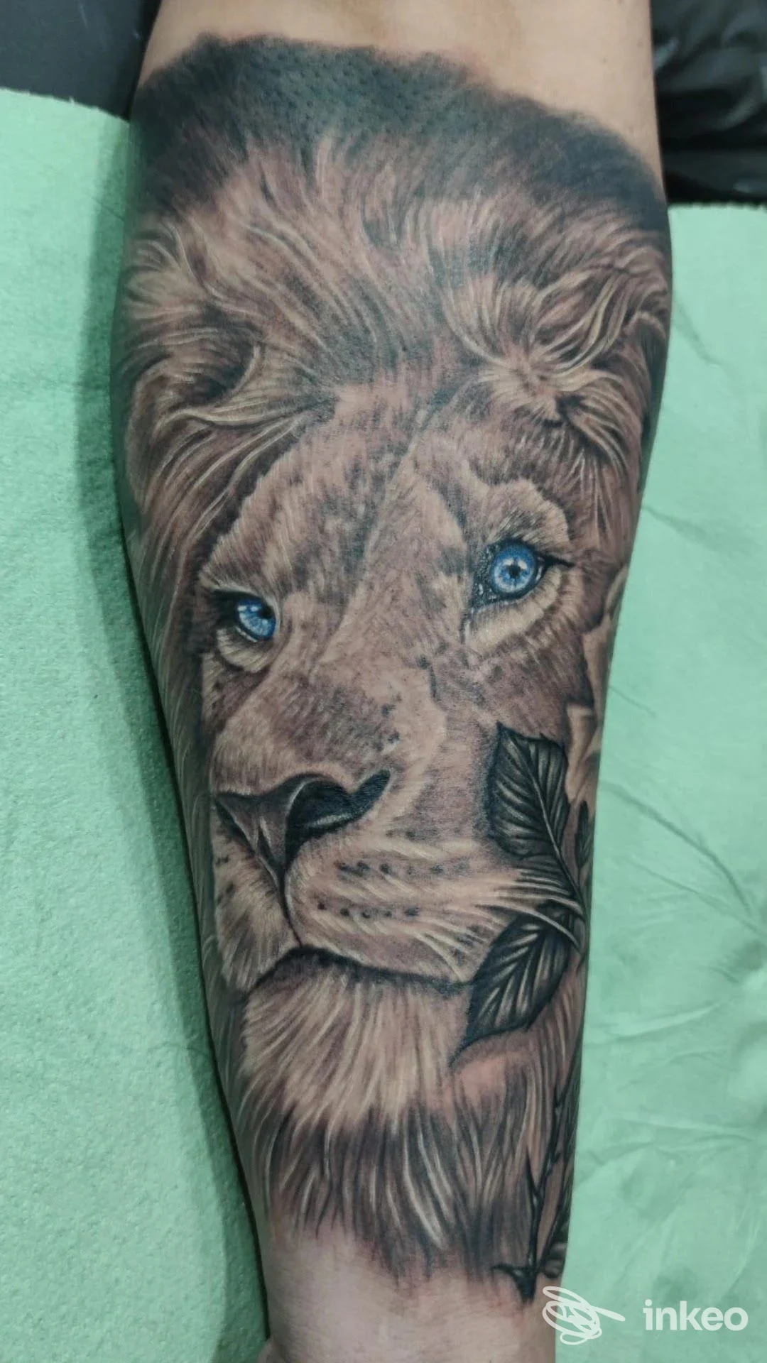 Tattoo realistico di una leone sulla pelle del braccio, con occhi azzurri e dettagli di pelo, realizzato in bianco e nero con sfumature.