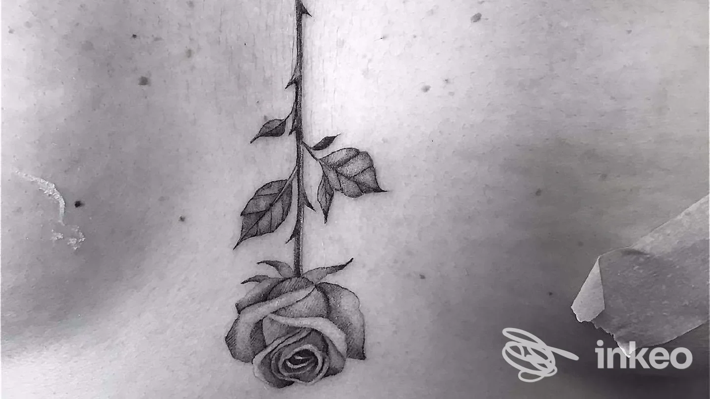 Tatuaggio reale su pelle: una rosa con gambo e foglie, realizzato da JAILED INK TATTOO a San Prisco.