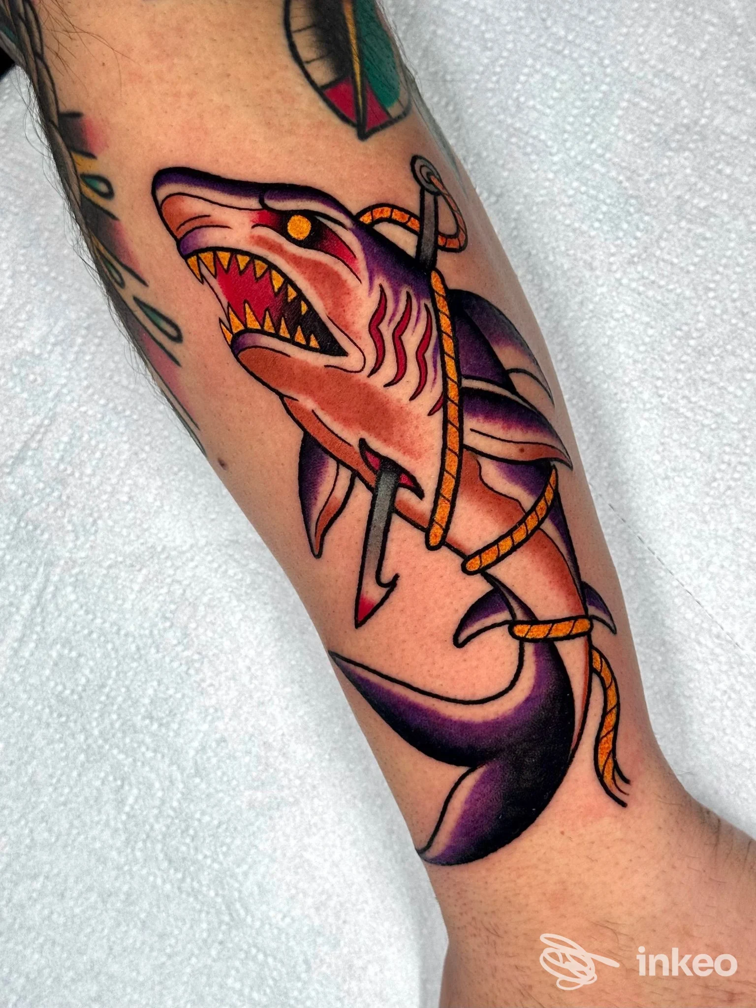 Tatuaggio su pelle raffigurante un predatore squalo colorato con corde dorate che avvolge in stile traditional, visibile su una zona del braccio.