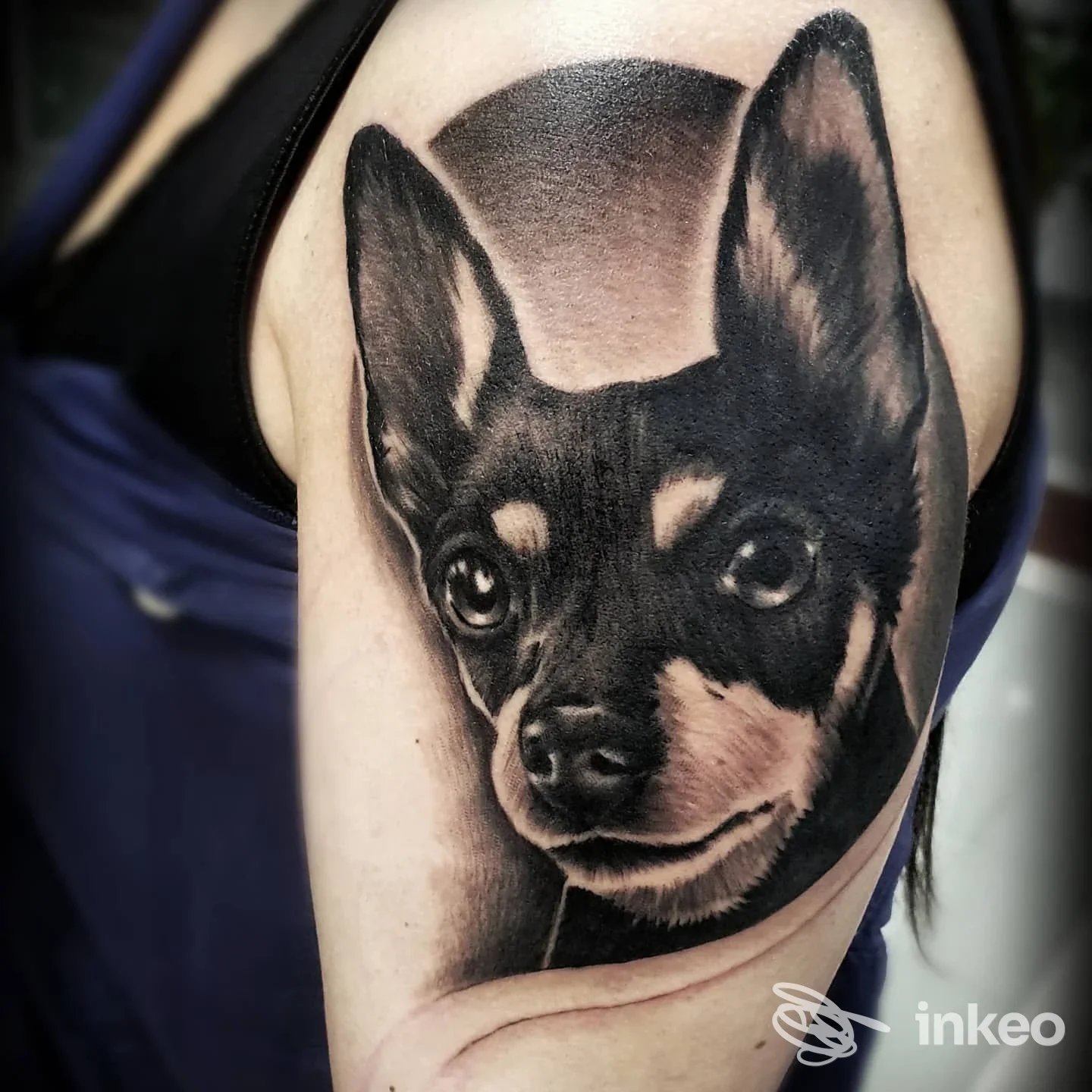 Tatuaggio realistico di un cane su braccio realizzato dal Zeroinklab Tattoo studio a Marano di Napoli, in bianco e nero con dettagli morbidi e contrasti marcati.