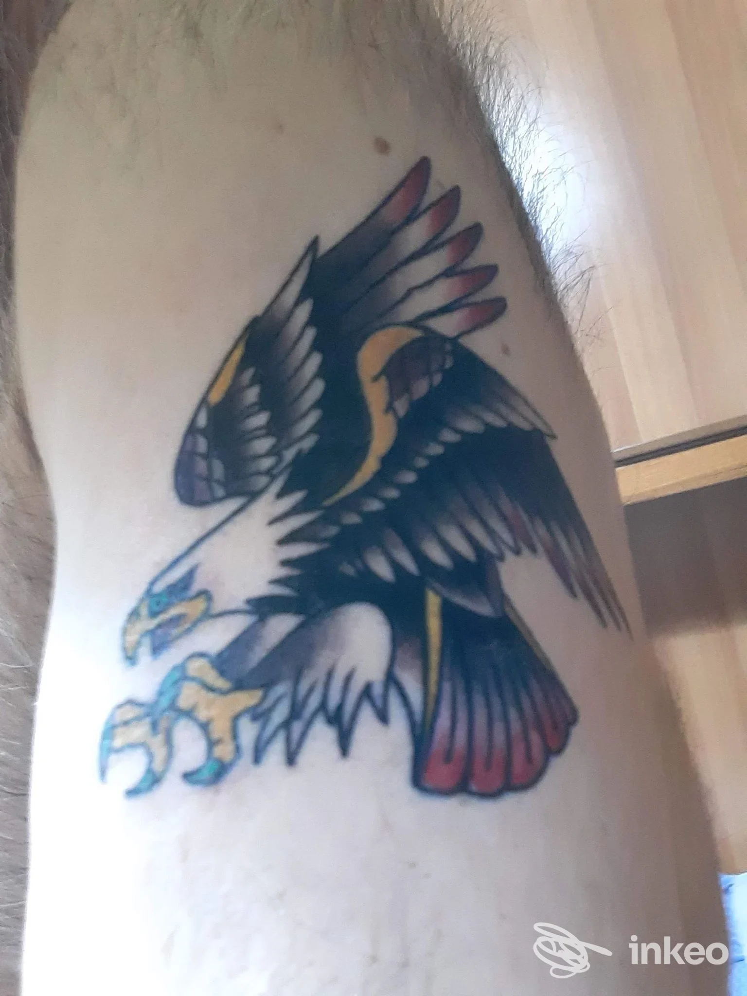 Tattoo raffigurante una grande aquila colorata sulla coscia di una persona, realizzata da Scriba Tattoo a Torre del Greco.