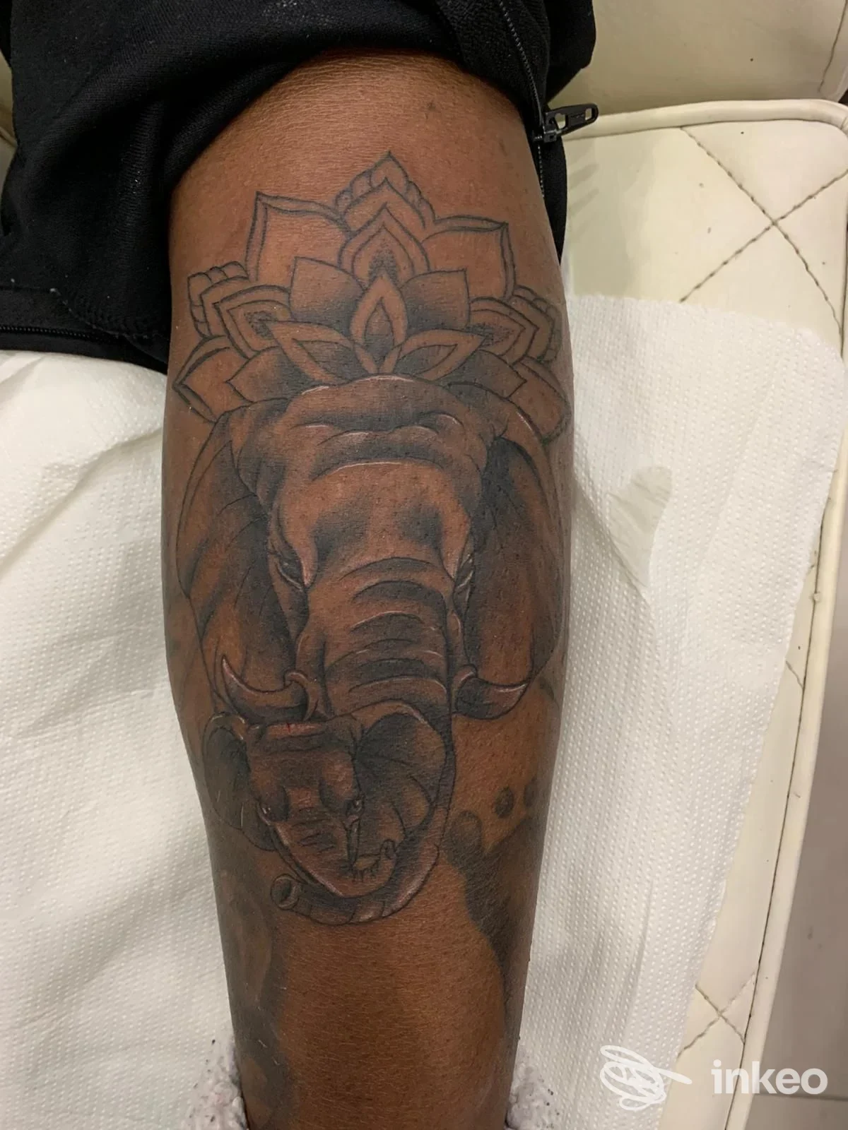 Tatuaggio reale visibile su gamba, raffigurante un elefante scuro con motivi geometrici, scatto dall’angolo laterale su ginocchio. studio Mario Giotto Tattoo, Sant’Antimo.