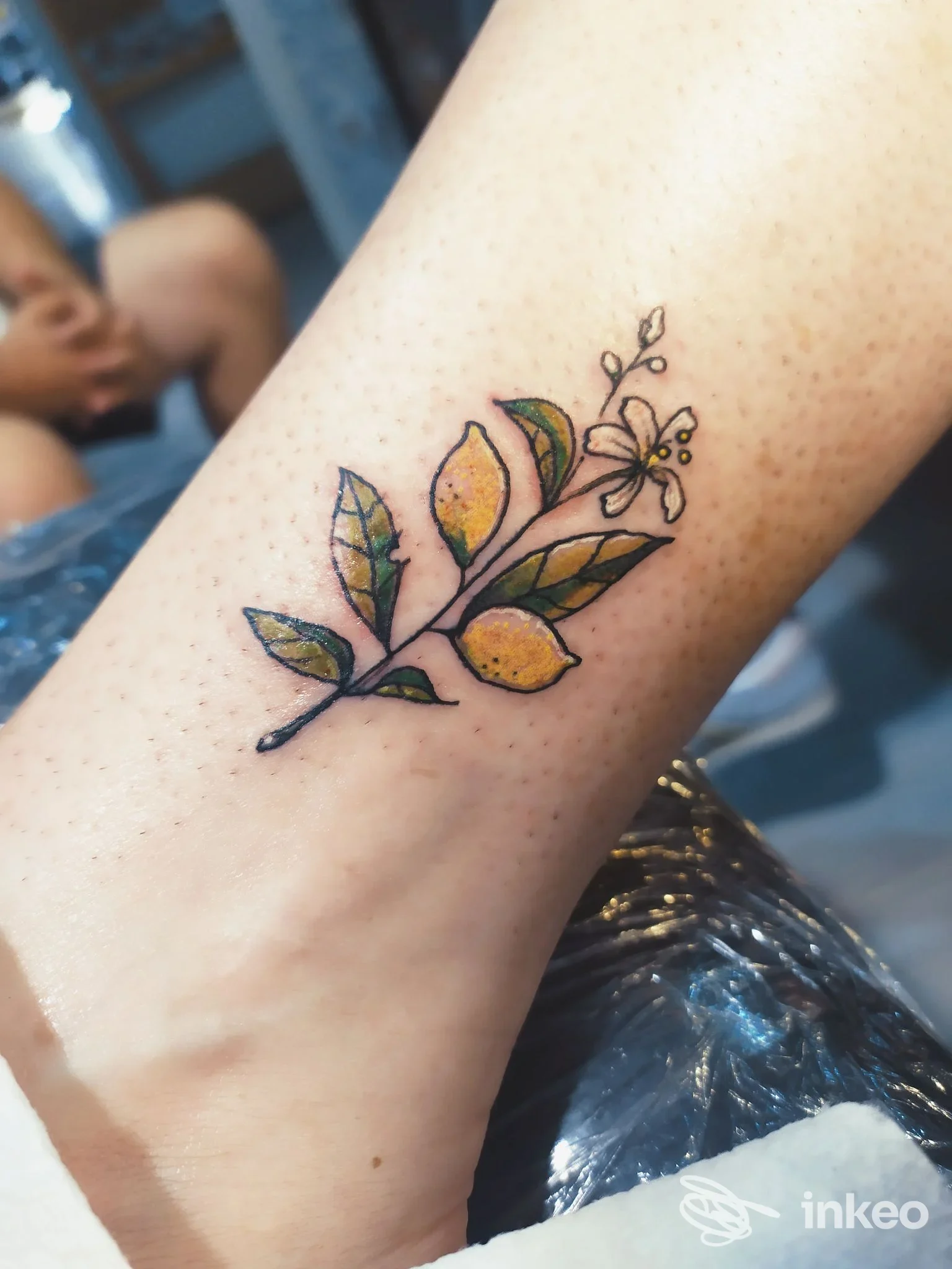 Tattoo a colori di un ramo di pianta con foglie verde-gialle sul polso, eseguito presso Vae Vinktis Tattoo Studio a Sorrento; corpo visibile e senza overlay di social media.