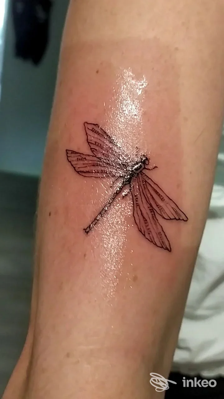 Tattoo di una libellula sull'avambraccio, linea nera sottile con dettagli di ali, visibile su pelle morbida, studio Vae Vinktis Tattoo Studio, Sorrento.