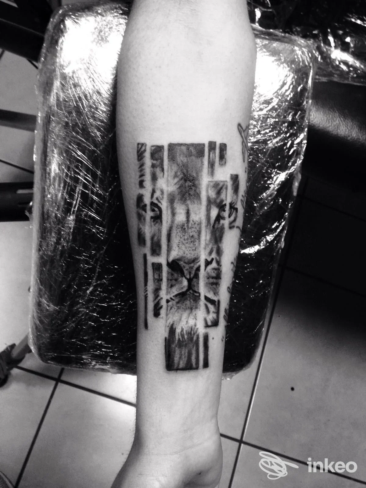 Tatuaggio reale visibile sulla pelle del braccio, composto da pannelli verticali, nessun overlay sociale o immagine di schermo, realizzato sul braccio.