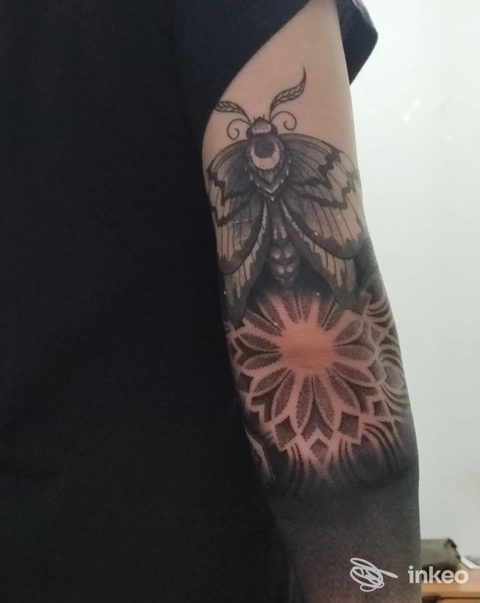 Tatuaggio su avambraccio raffigurante una falena scura con dettagli di ali e un motivo a mandala rosa sul sotto braccio.