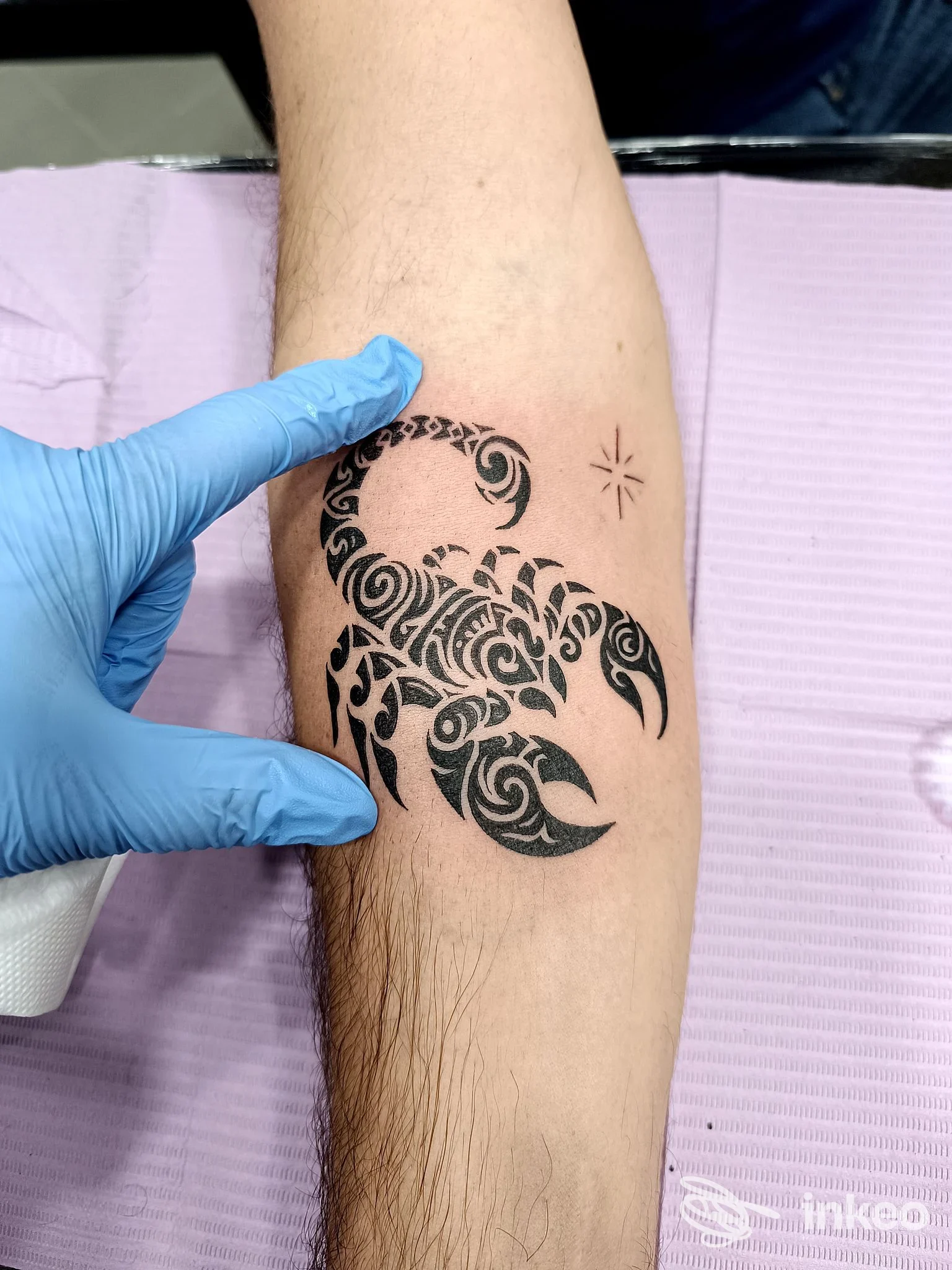Braccio con tatuaggio scorpione nero stilizzato e piccola stella vicino, su pelle chiara; studio Purple Art Personal, Battipaglia.