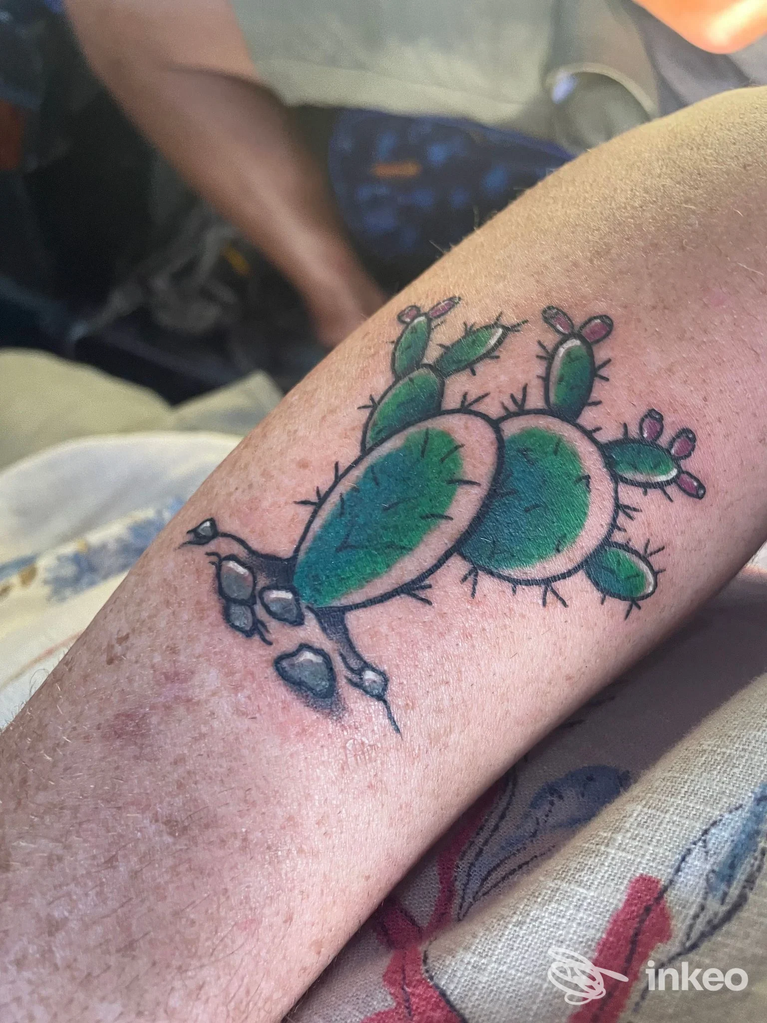 Tattoo colorato di cactus su pelle, avambraccio visibile, realizzato probabilmente da Sailing Ship Tattoo a Agerola.