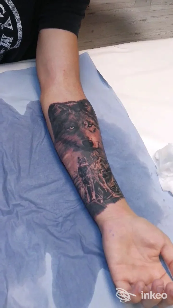 Brasse di avambraccio con tatuaggio realistico raffigurante un lupo, realizzato su pelle; scatto in studio presso Tattoo Art Studio a Modena, Italia.