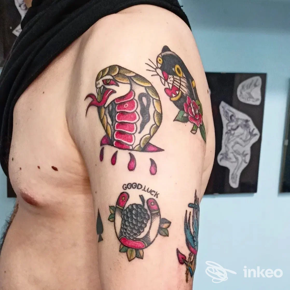 Tattoo colorato su braccio: cobra e altri motivi decorativi, pelle reale visibile senza volto intero; ambiente professionale, senza testo o watermark visibile.