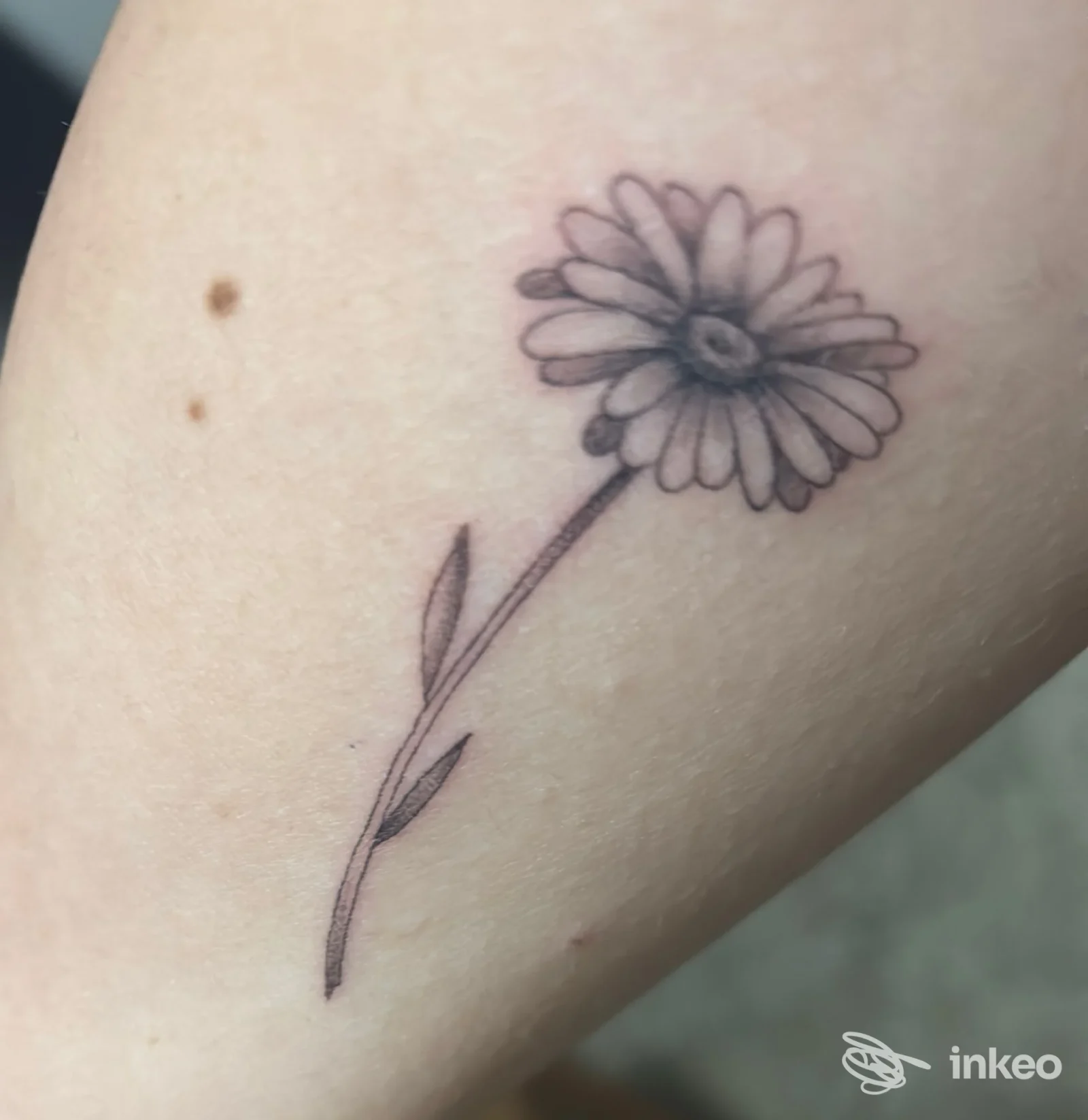 Tattoo floreale a linea sottile su avambraccio, realizzato sul braccio destro di una persona, senza volto visibile, scatto ravvicinato del tatuaggio.