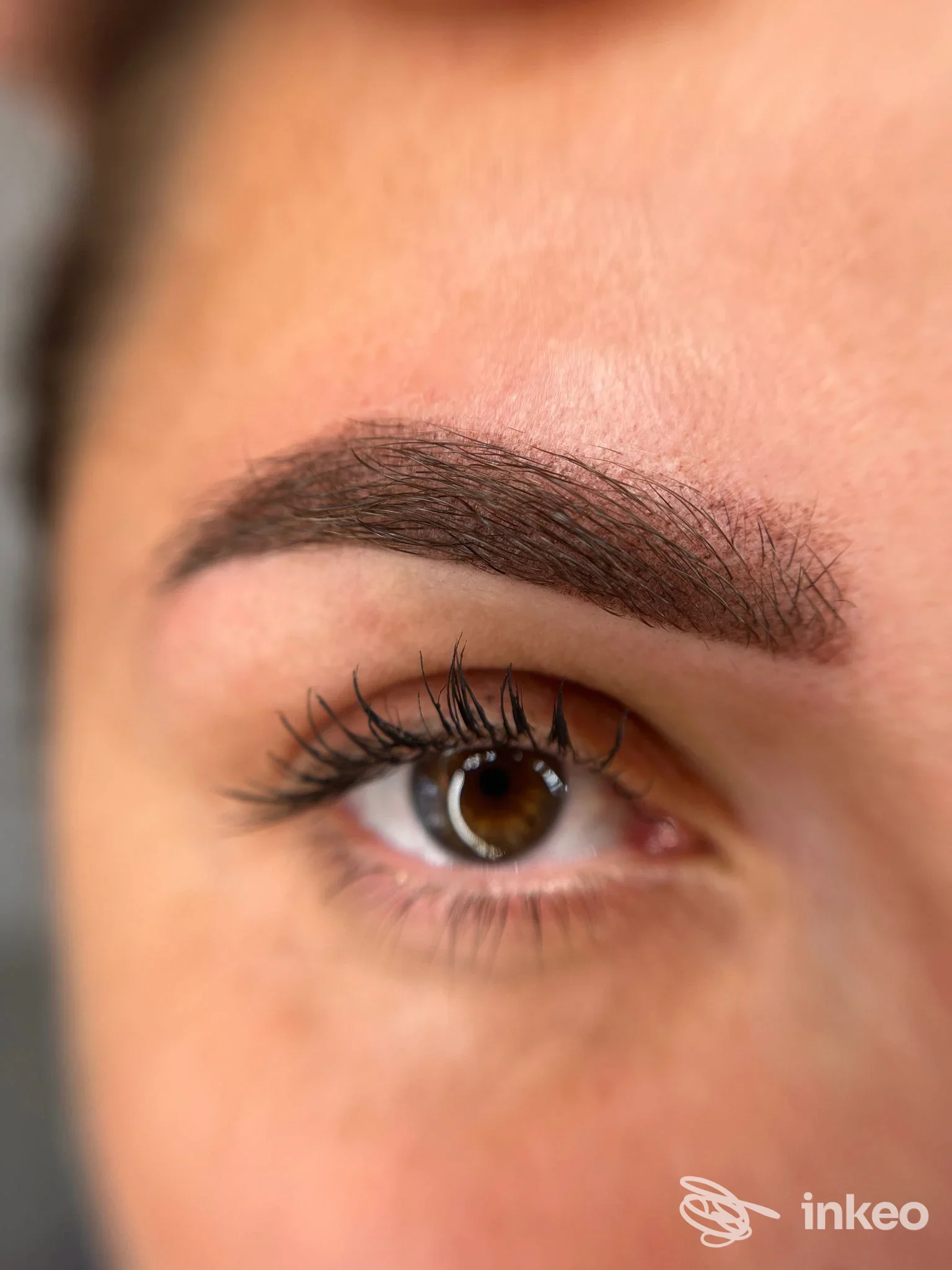 Primo piano di un sopracciglio tatuato permanentemente su pelle reale, con occhio marrone visibile e inchiodato; inquieto inquadratura ravvicinata a sfondo neutro, proveniente da Bologna. Marina Maimescu Permanent Make-Up.