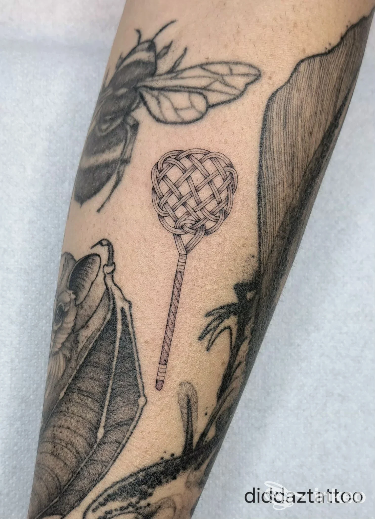 Tatuaggio sul braccio con motivo intrecciato e insetto, accompagnato da elementi naturali, realizzato sulla pelle umana senza visione di volto.