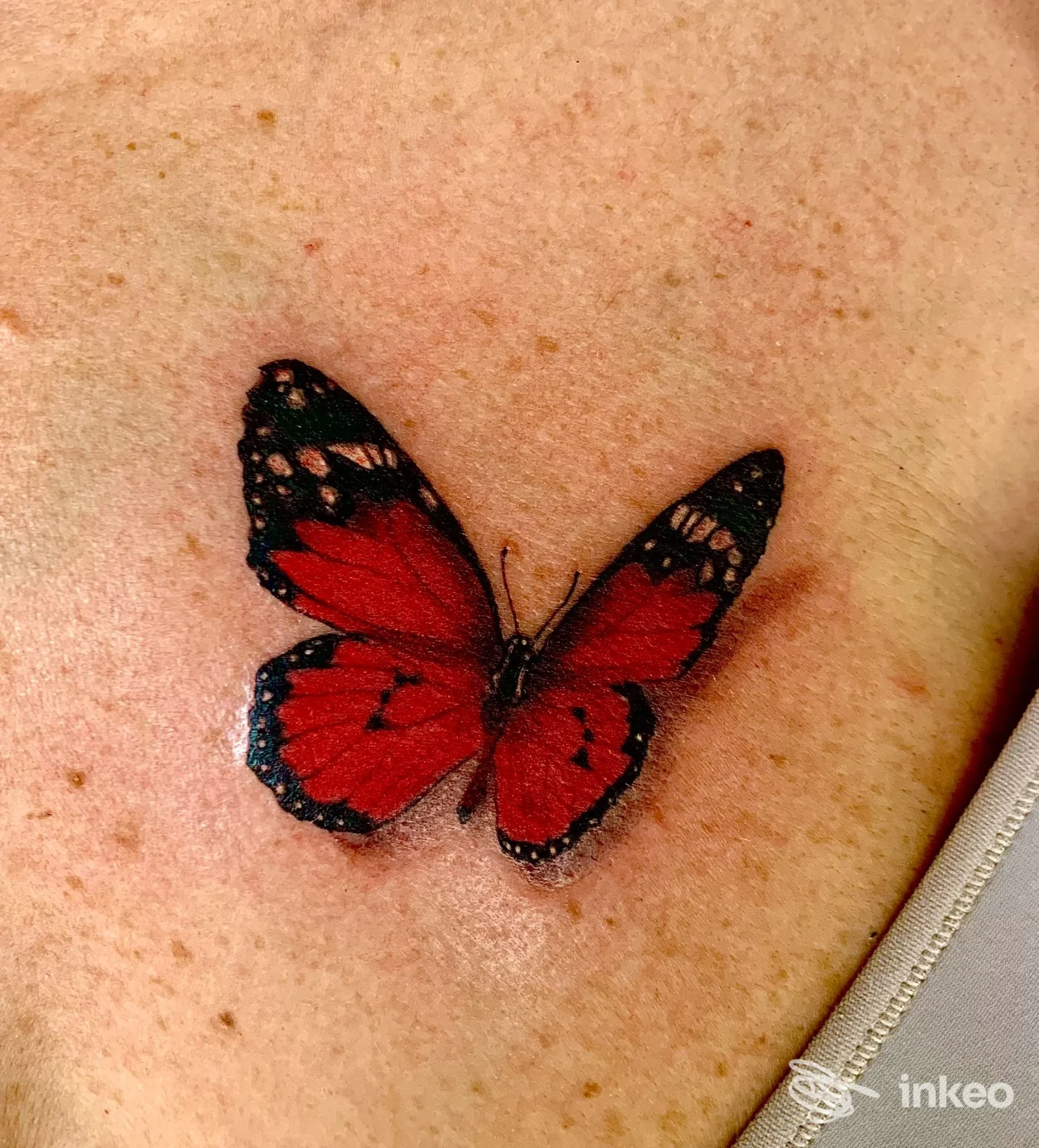 Tattoo di una farfalla rossa con contorni neri sul braccio/spalla, realizzata direttamente sulla pelle.