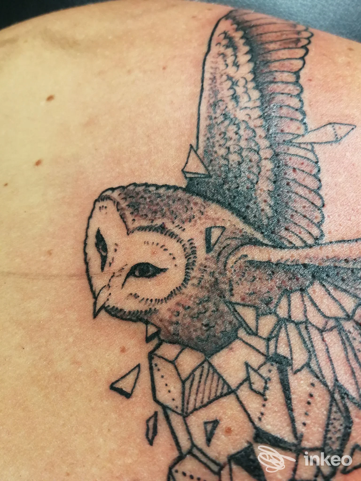 Tatuaggio visibile su pelle umana: civetta stilizzata con elementi geometrici sulla spalla sinistra, senza volto umano.