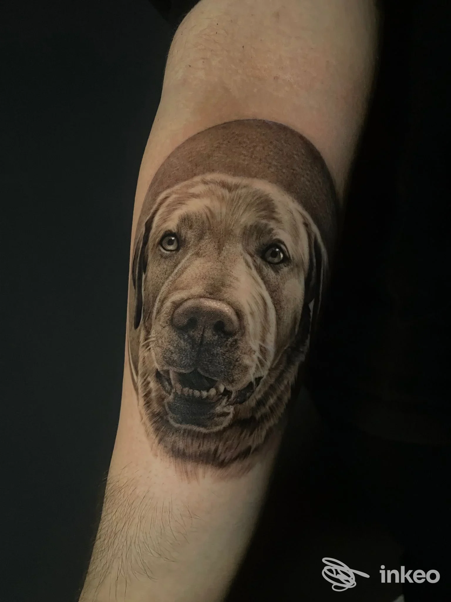 Tatuaggio realistico di un cane sul braccio, eseguito in Bianco e Nero Tattoo Studio a San Polo d'Enza, senza testo o elementi di social media visibili.