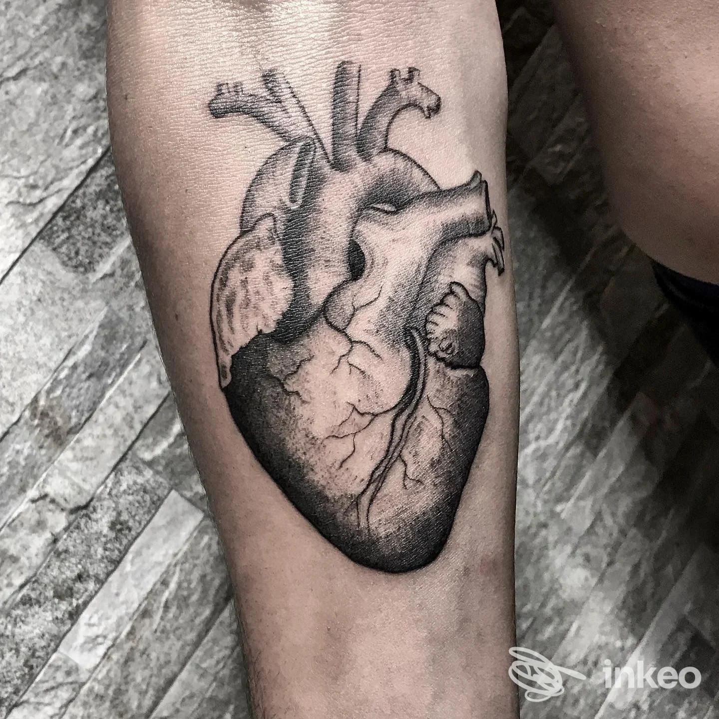 Tattoo anatomico a cuore su pelle di gamba/avambraccio, disegno in stile realistico. Nessun volto visibile, senza watermark o testo.