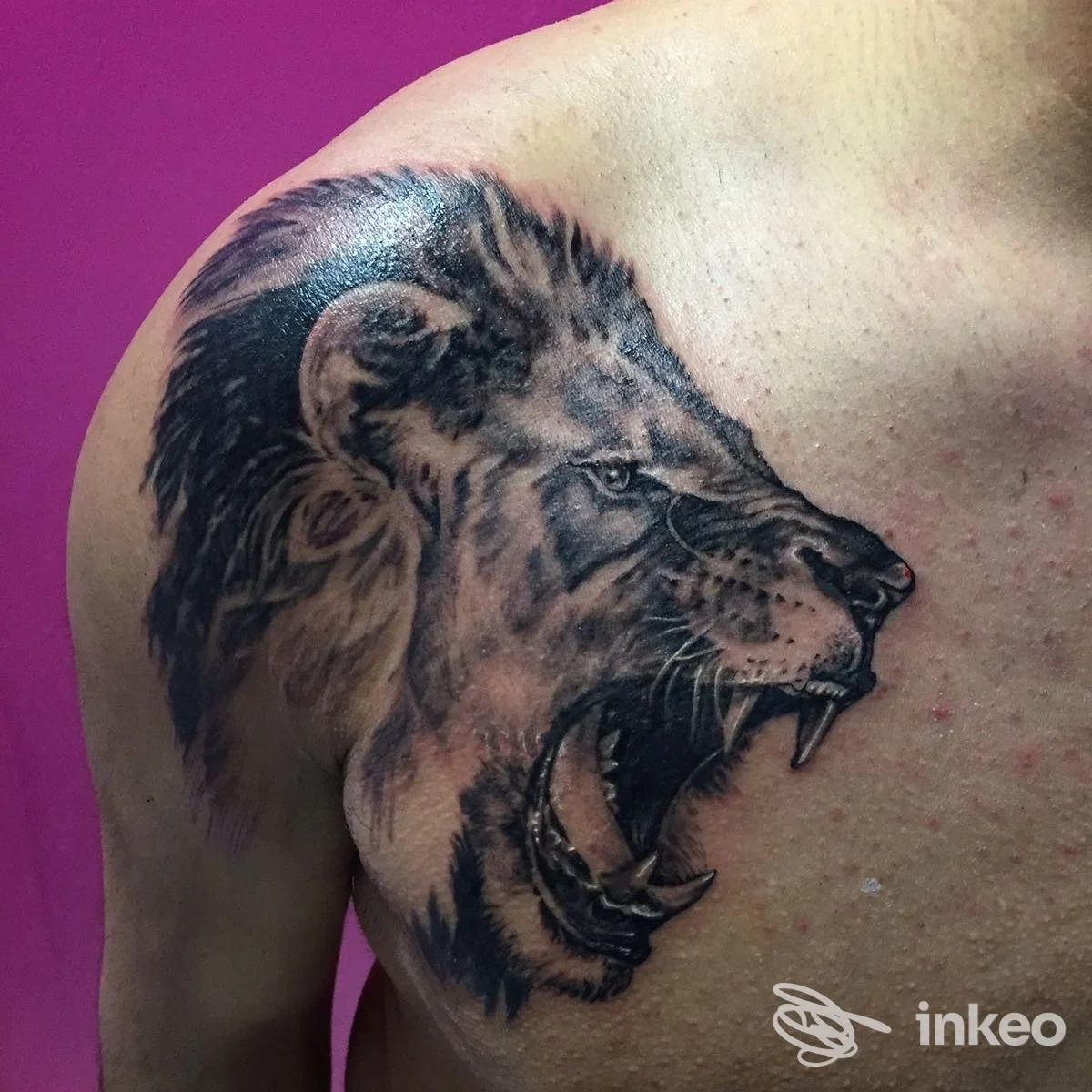 Tattoo realistico di una leone sulla spalla sinistra, realizzato da Pink Shark Tattoo a Misano Adriatico, senza volto visibile. Telaio semplice con sfondo rosa.