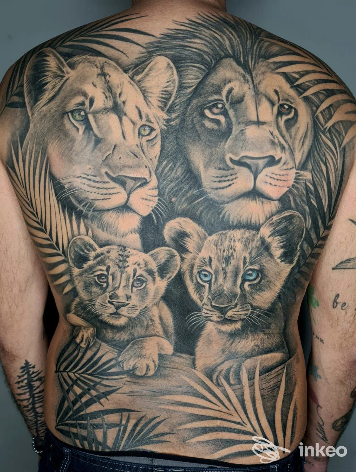 Tattoo molto grande sulla schiena raffigurante leoni adulti e cuccioli tra foglie, eseguito su pelle reale.