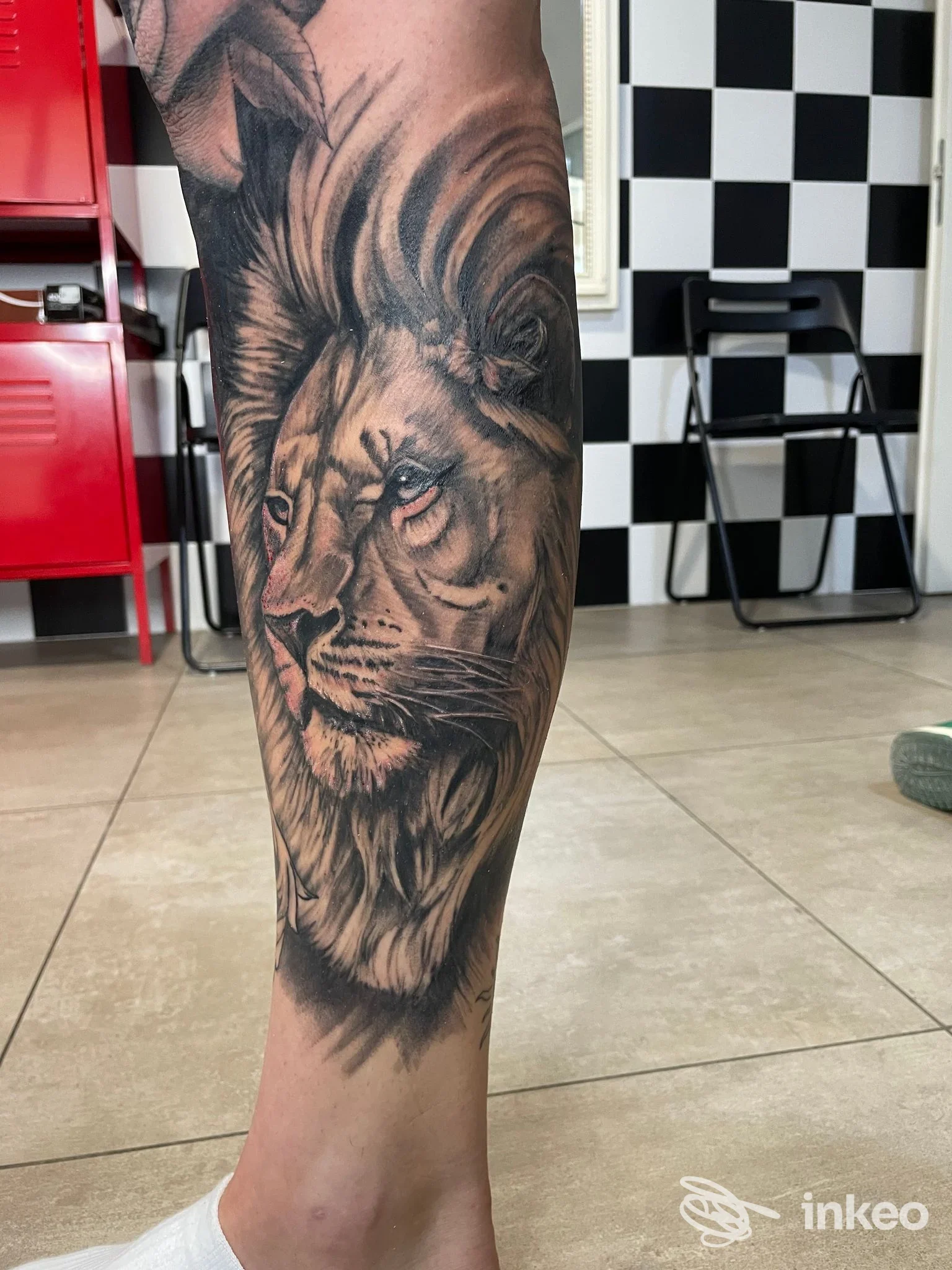 Leone realizzato come tattoo sulla gamba, eseguito in Inkiostro Classic Tattoo di Savignano sul Rubicone, con dettagli realistici in bianco e nero.