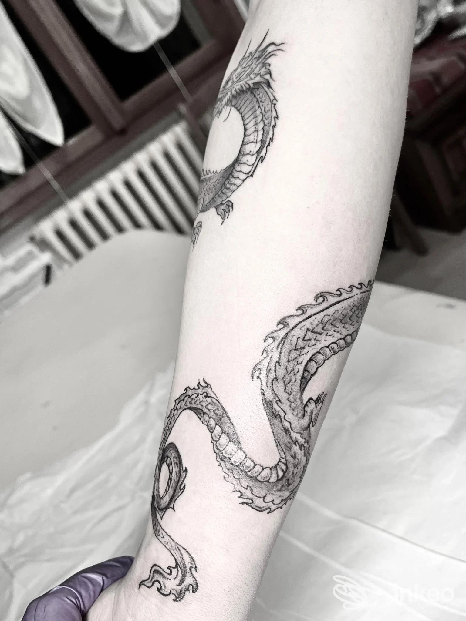 Avambraccio con tatuaggio drago nero e dettagli in linea, foto in studio di Claudia ink lab a Guiglia.