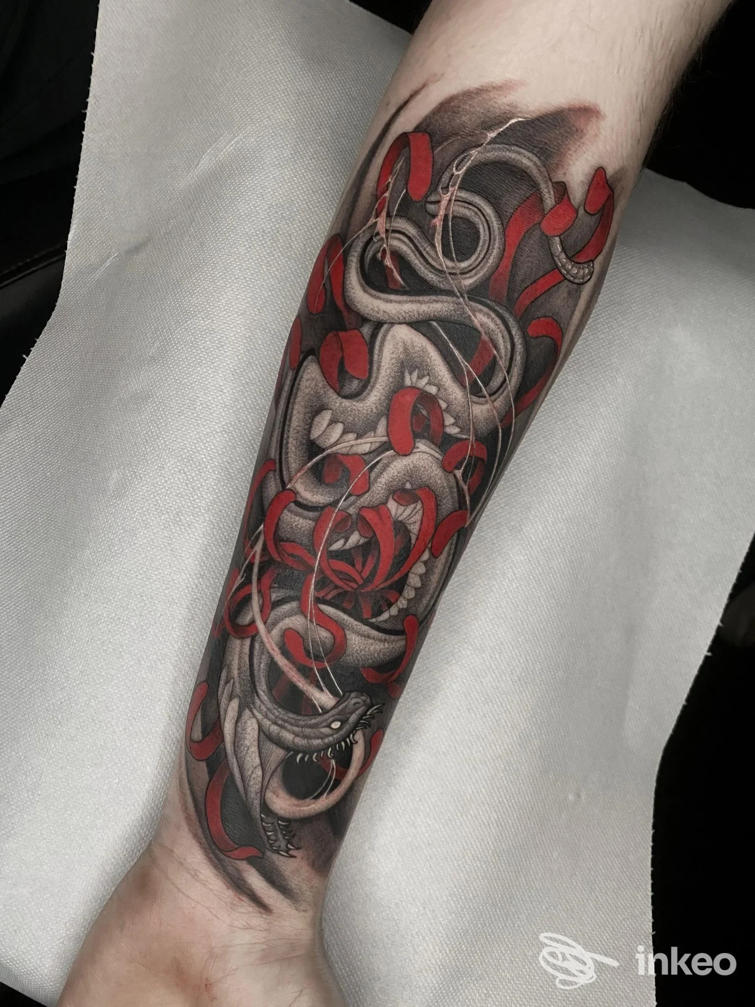 Tatuaggio di serpenti e motivi ornamentali sull'avambraccio, Black Swan Tattoo e Piercing, Rimini.
