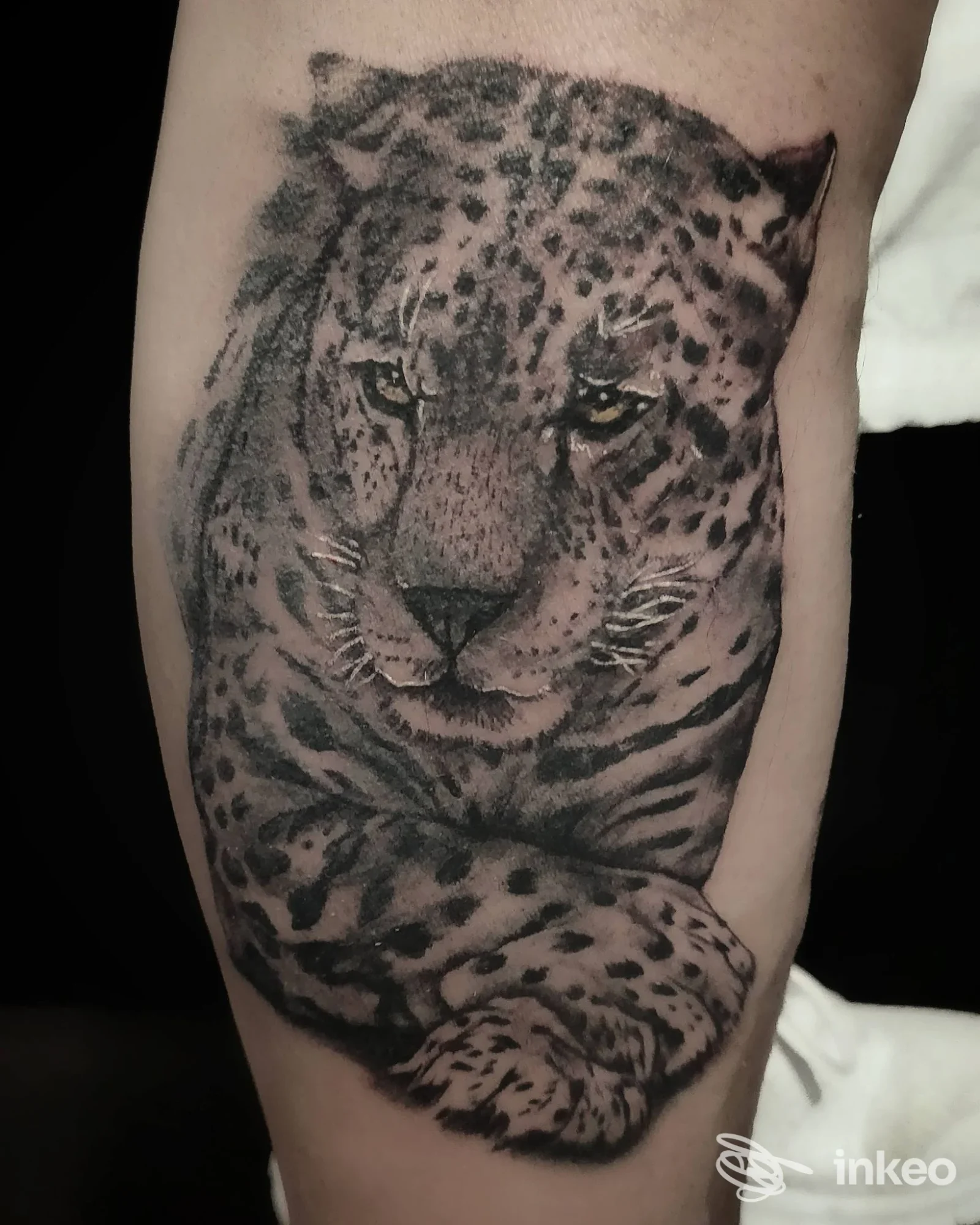 Ritratto realistico di un leopardo tatuato sull'avambraccio.
