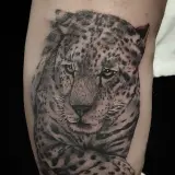 Profilo Instagram di Tattoowilly 1994