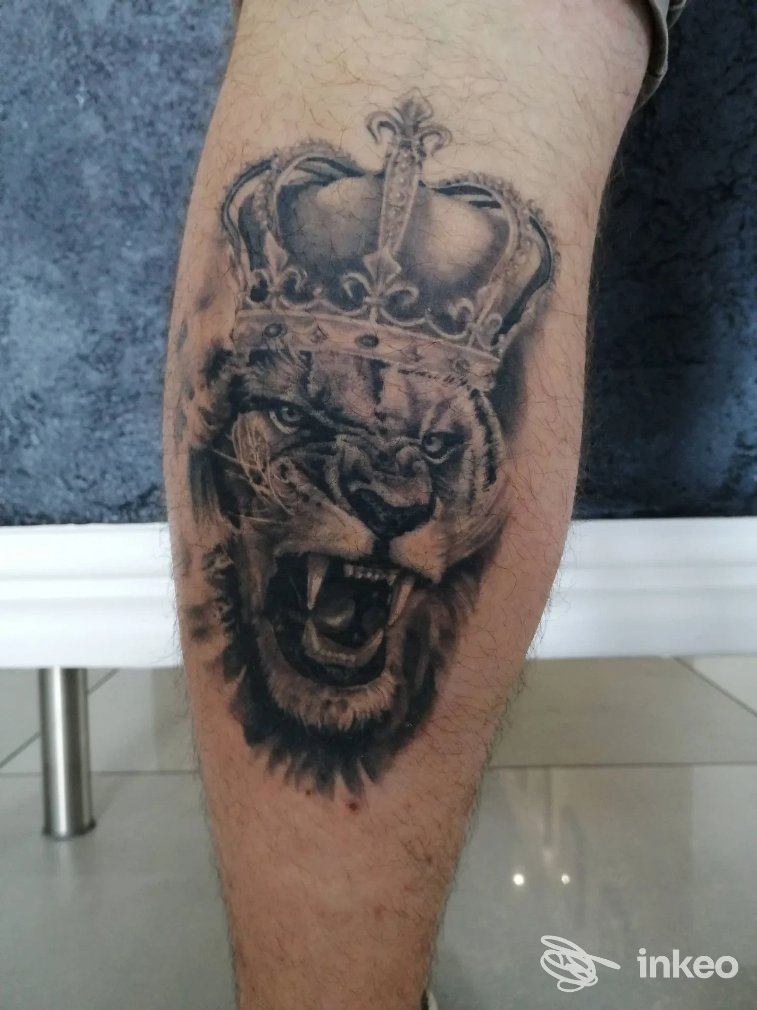 Tatuaggio realistico di leone coronato sul polpaccio, Black Dollar Tattoo Gallery, Ramiola.