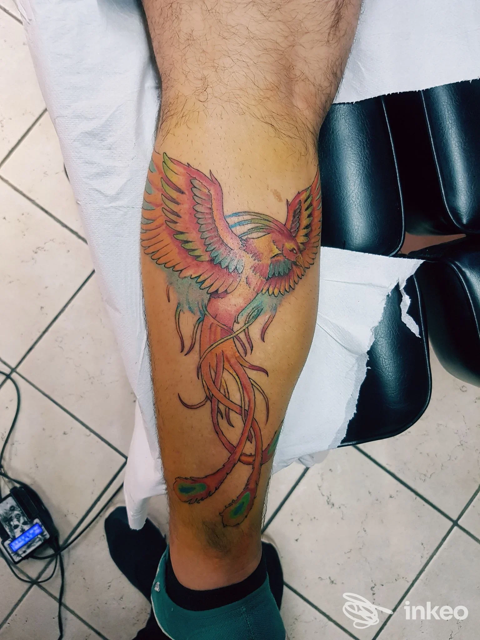 Tatuaggio colorato a forma di fenice sul polpaccio, fotografato presso Greg Tattoo Art Studio, Mirandola.