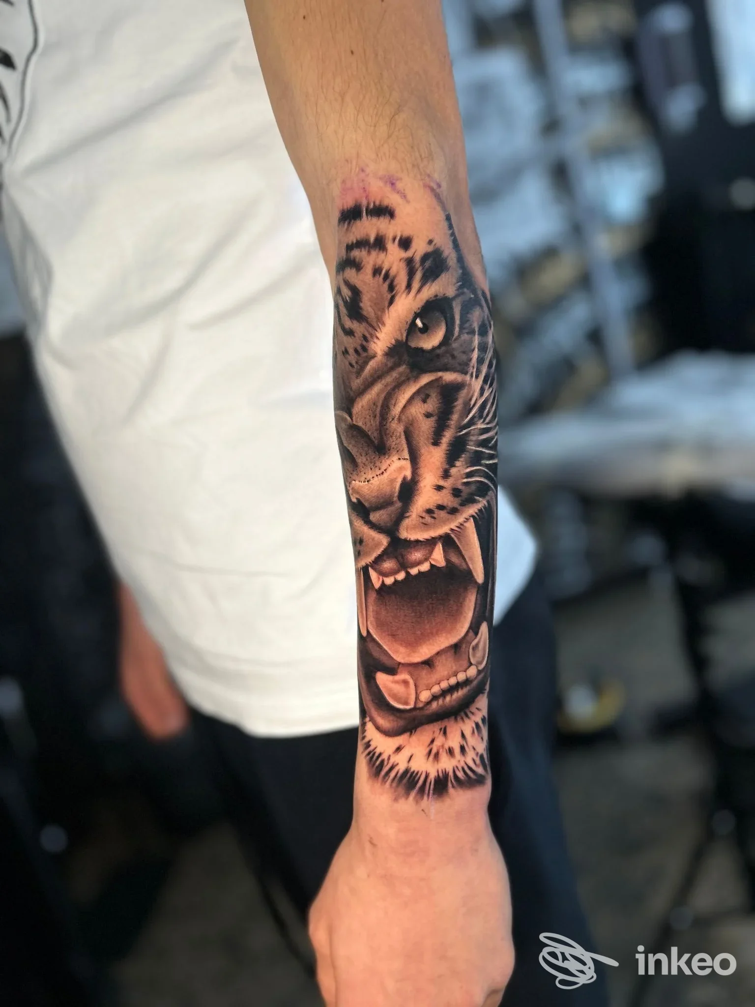 Tatuaggio realistico di testa di tigre sull'avambraccio, foto in studio. North Side Ink Club, Reggio nell'Emilia.
