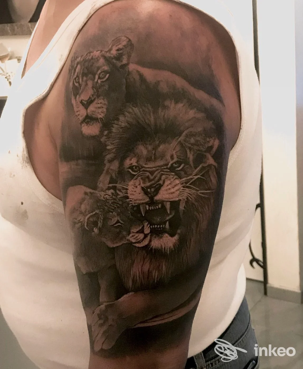Grande tatuaggio realistico di leoni su braccio e spalla, dettagli in bianco e nero; foto del lavoro presso Cheyenne Art Studio, Nonantola.