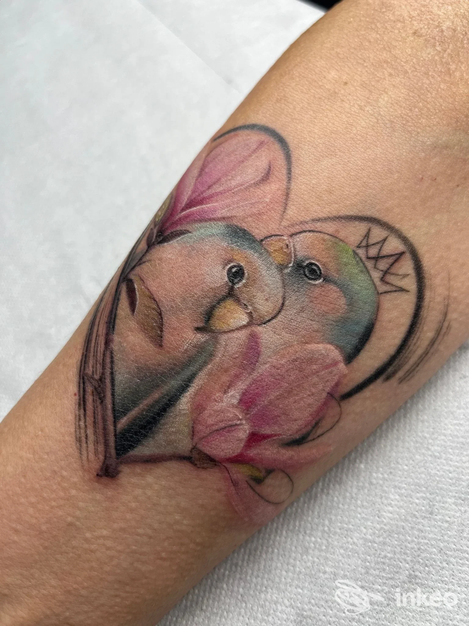Tatuaggio a colori di due uccelli e fiori sull'avambraccio, realizzato da Bunny Boo Tattoo a Castel Bolognese.