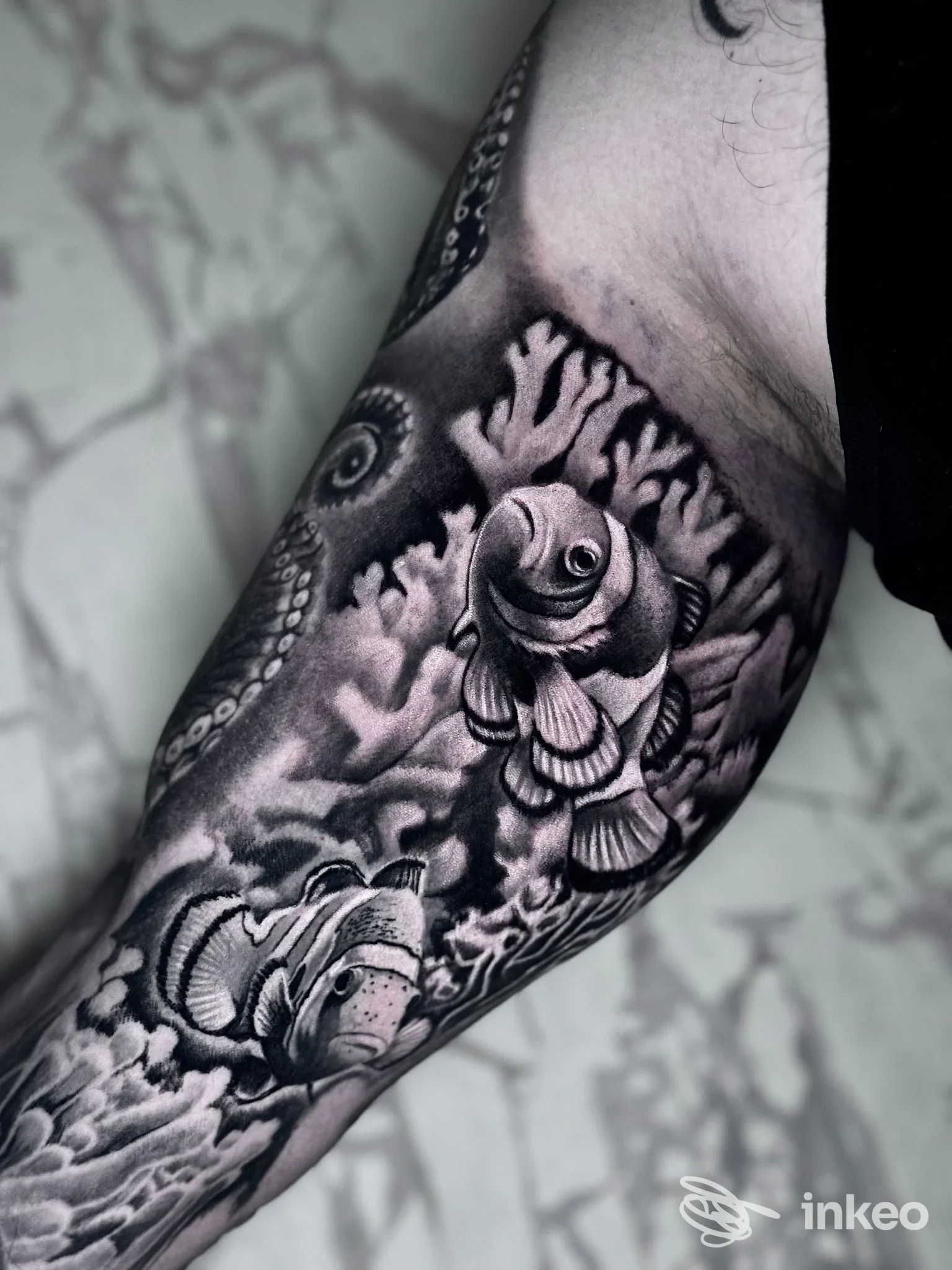 Tatuaggio in bianco e nero con due pesci pagliaccio e corallo sull'avambraccio, mostrato da Riva Ink Tattoo e Piercing, Rimini.