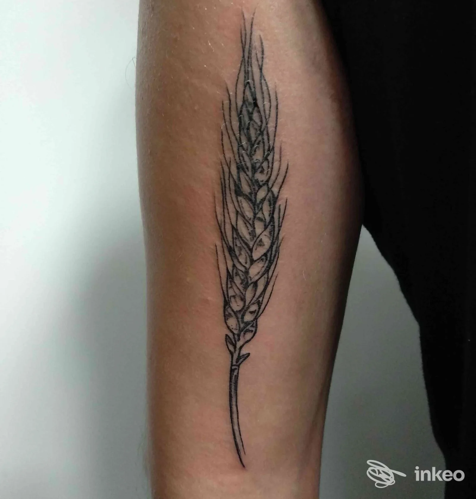 Tatuaggio linework a forma di spiga sul lato interno dell'avambraccio, realizzato presso The Mood Tattoo a Vigolzone.