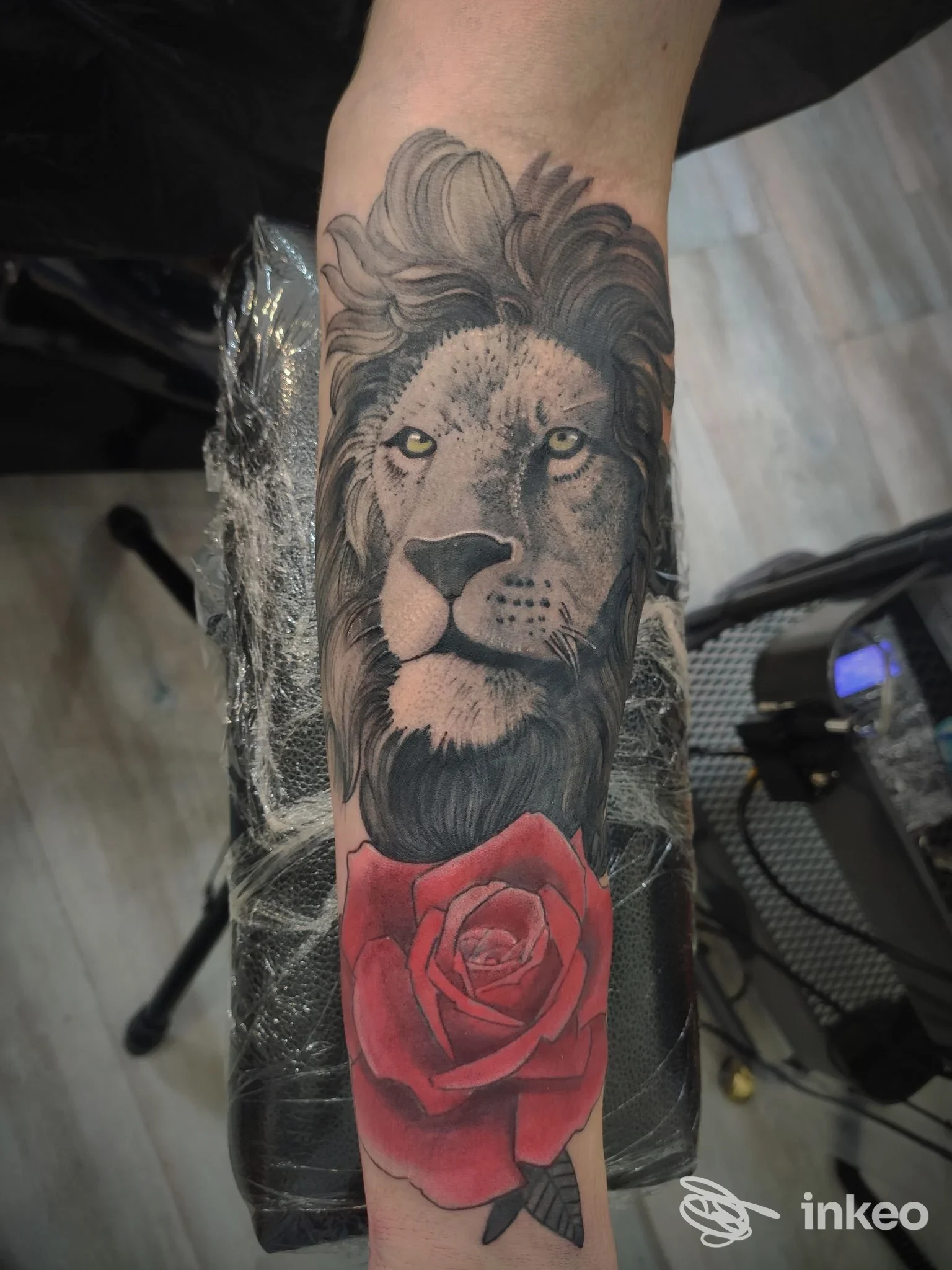 Tatuaggio avambraccio con testa di leone in bianco-nero e grande rosa rossa, fotografia realizzata da Perla Nera Tattoo, Cesena.