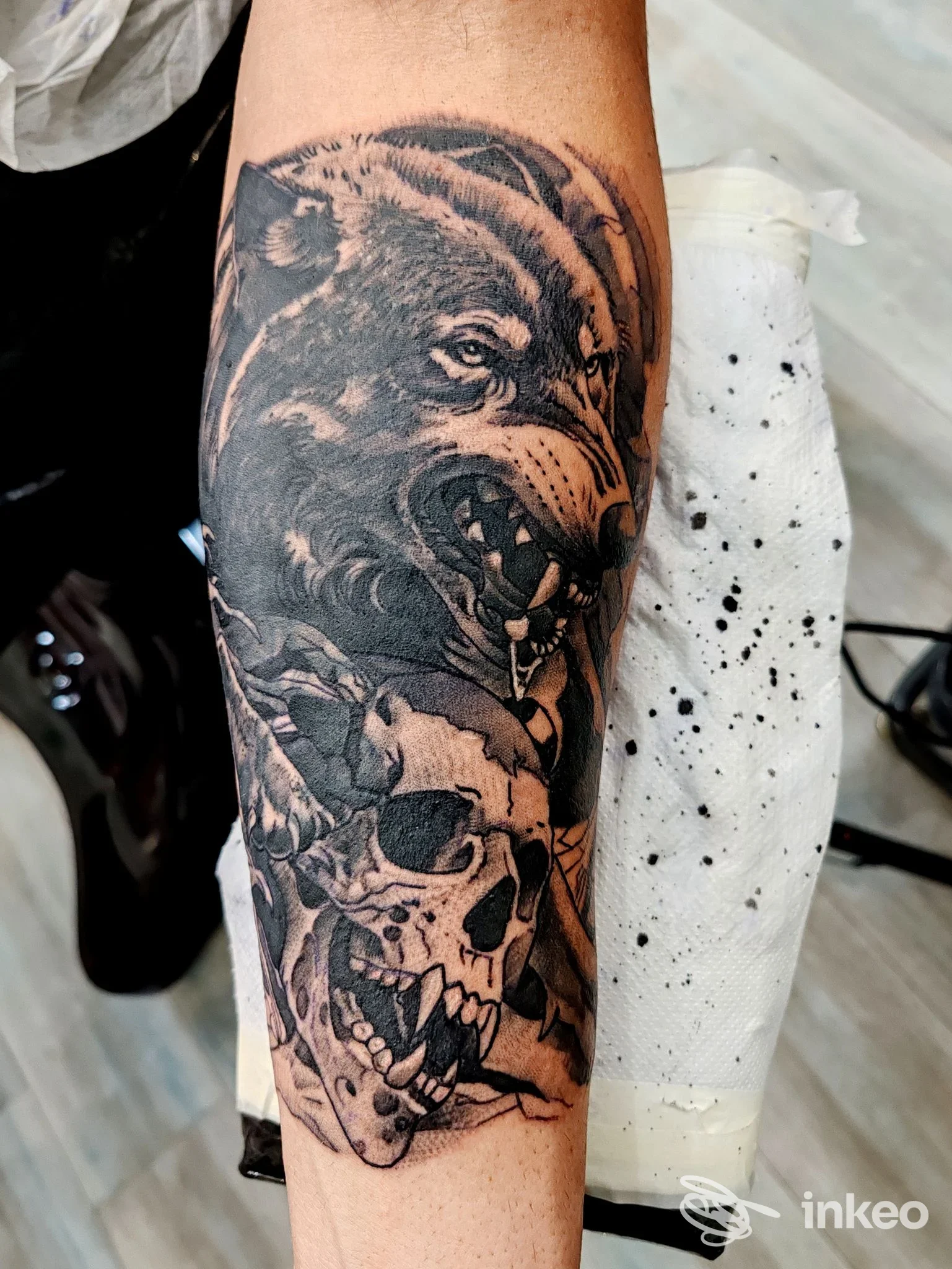 Grande tatuaggio black&grey con lupo ringhiante e teschio sull'avambraccio, Perla Nera Tattoo, Cesena.