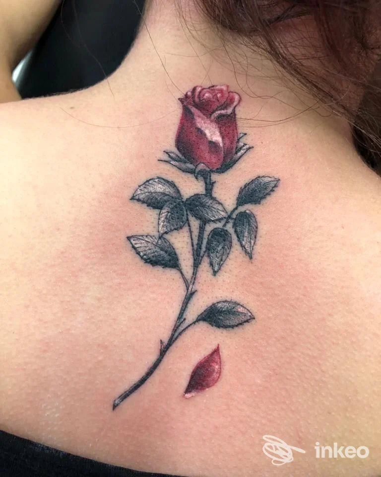 Tatuaggio di una rosa rossa sulla parte superiore della schiena, realizzato da Cristal Tattoo a Cesena, con foglie in nero e un petalo staccato.
