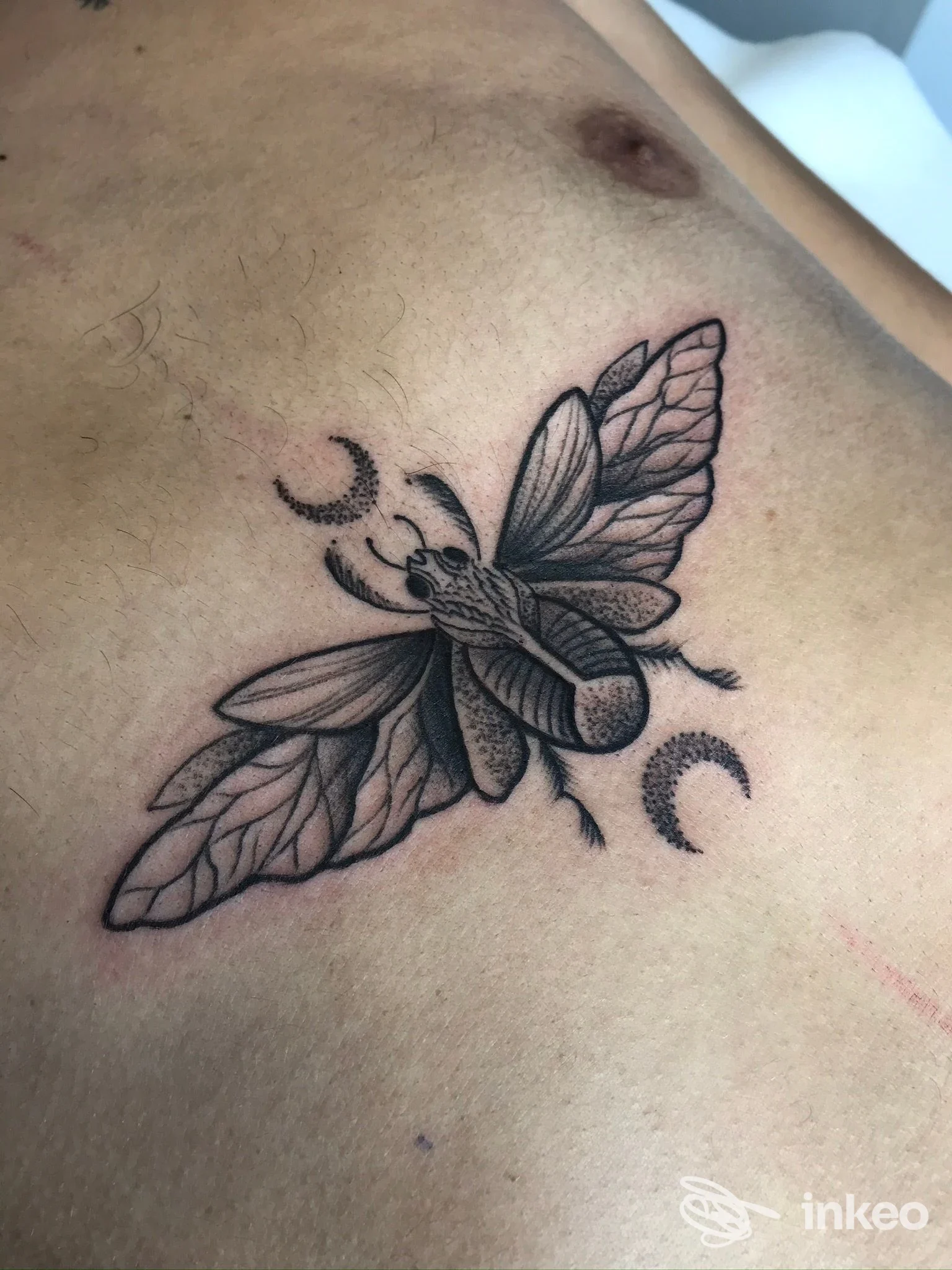 Tatuaggio nero a forma di insetto con lune sul petto, realizzato da Makablack Tattoo Studio a Cattolica.
