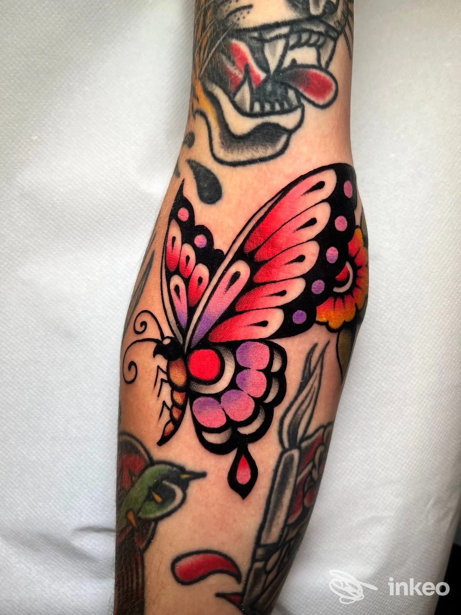 Farfalla colorata tatuata sull'avambraccio, Soul Shop Tattoo, Rimini.