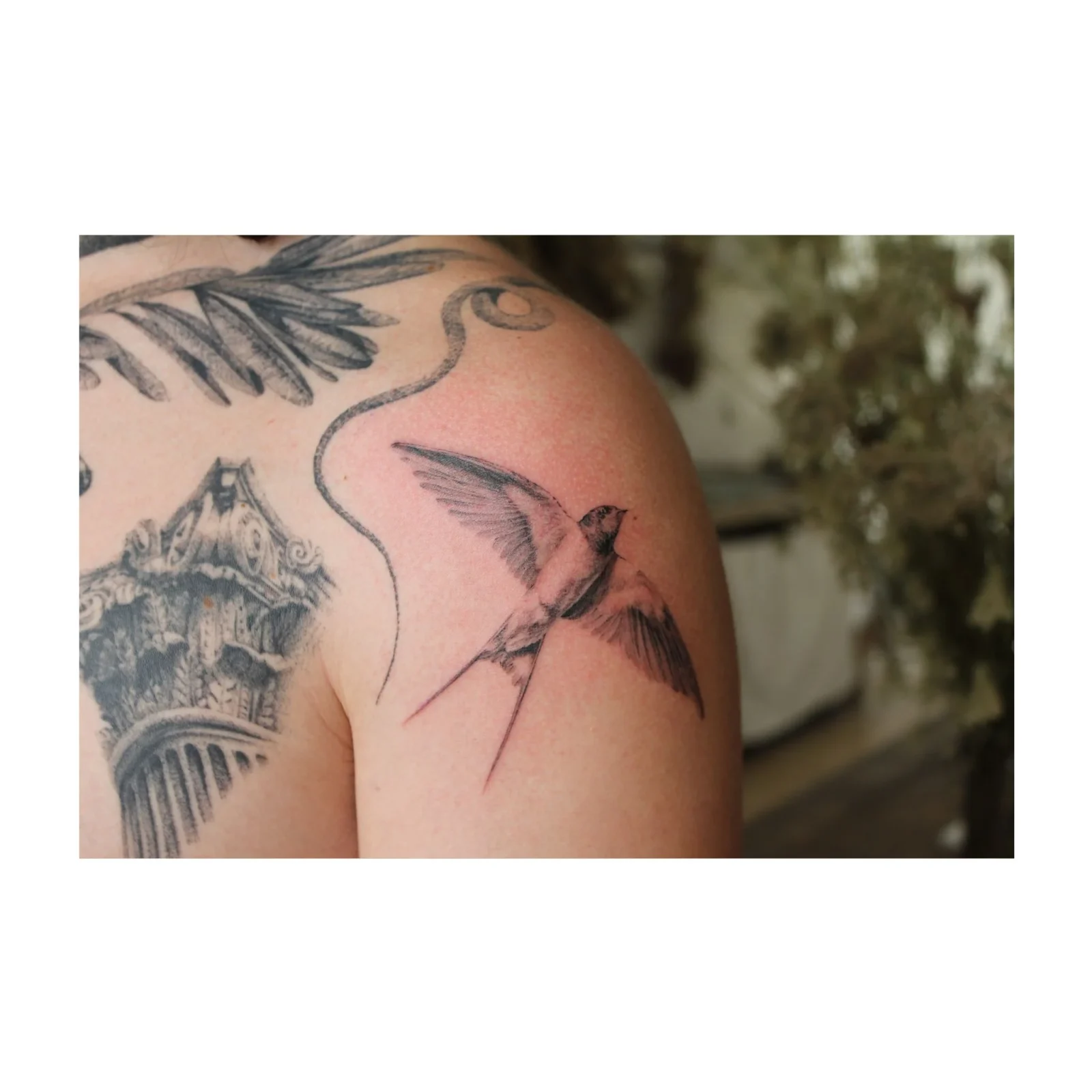 Fotografia ravvicinata di una spalla tatuata con una rondine e dettagli ornamentali su pelle, scatto per il portfolio di Marco Sergiampietri, Reggio Emilia.