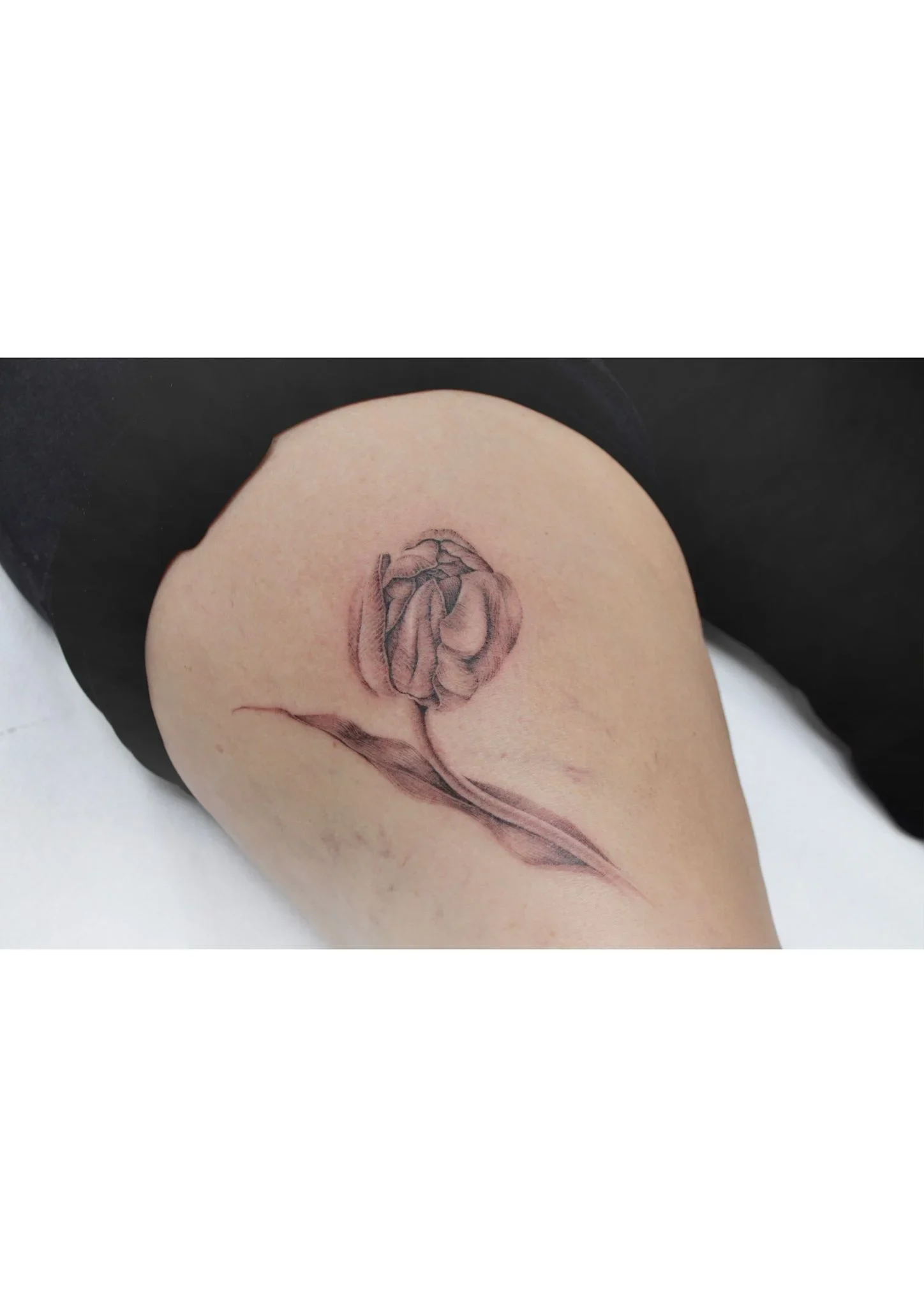 Tatuaggio floreale realistico sulla coscia, foto dello studio Marco Sergiampietri a Reggio Emilia.