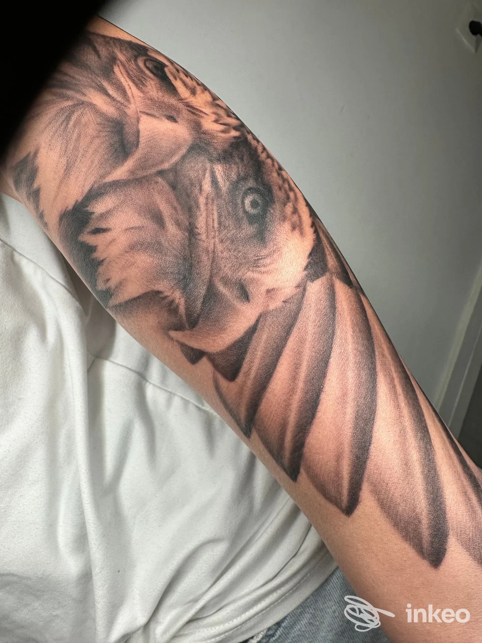 Primo piano dell'avambraccio con un tatuaggio realistico a tema uccello e piume, eseguito da Skin Art Tattoo a Scandiano.