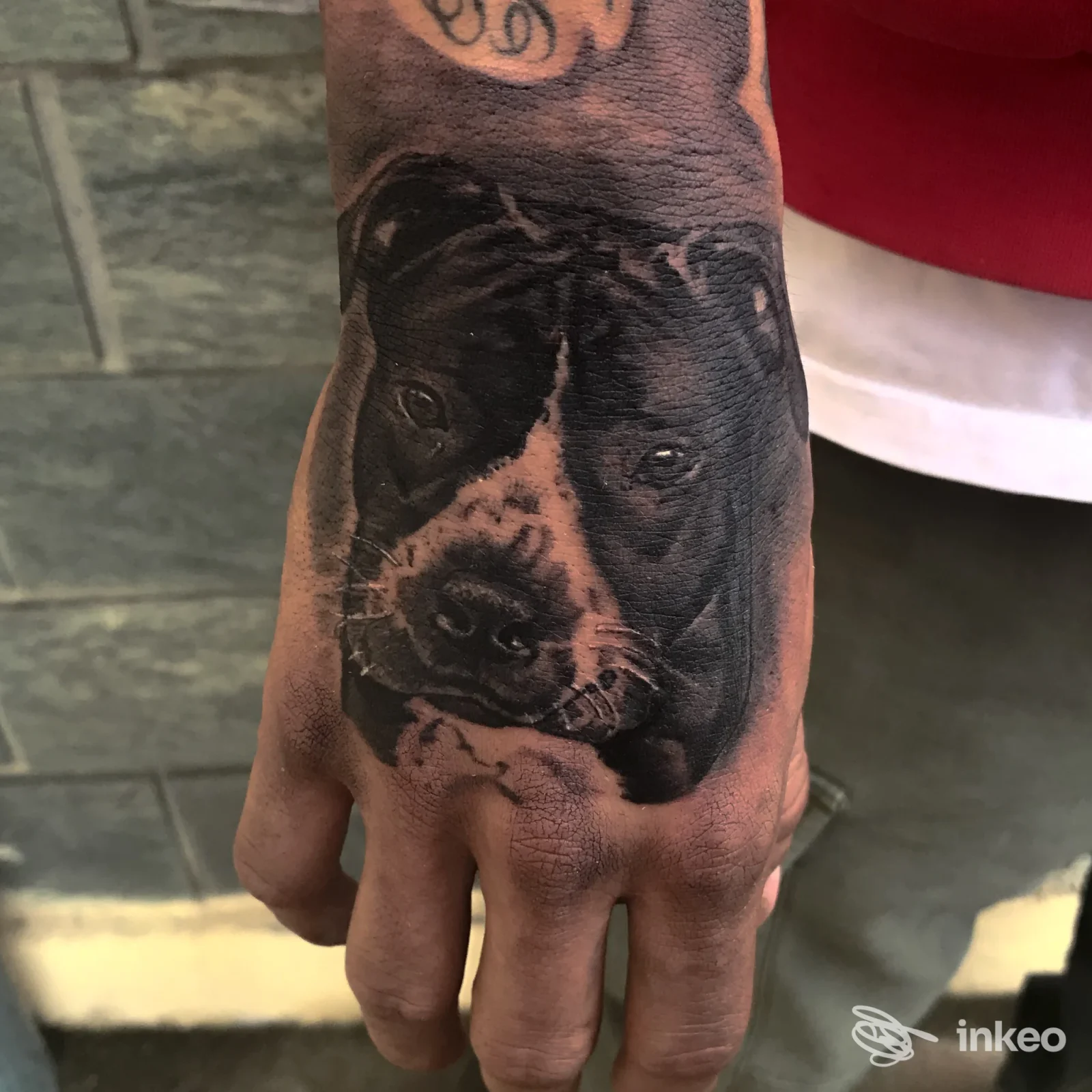 Tatuaggio realistico del muso di un cane sul dorso della mano, foto inviata da Dirty Mind Tattoo Studio, San Nicolò.