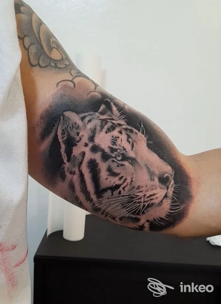 Tatuaggio realistico in nero e grigio di una testa di tigre sull'interno del bicipite, foto fornita da King Tattoo a Collecchio.